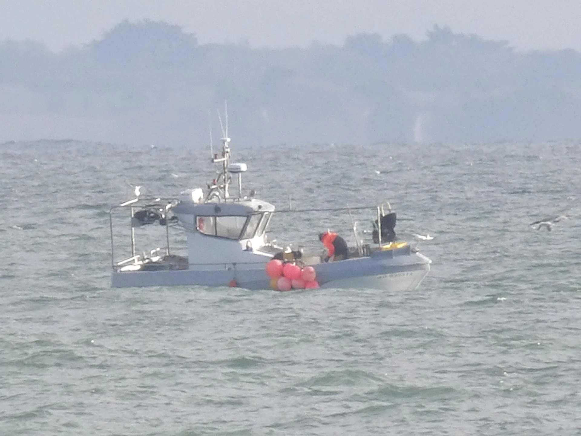 251223 njord au large c