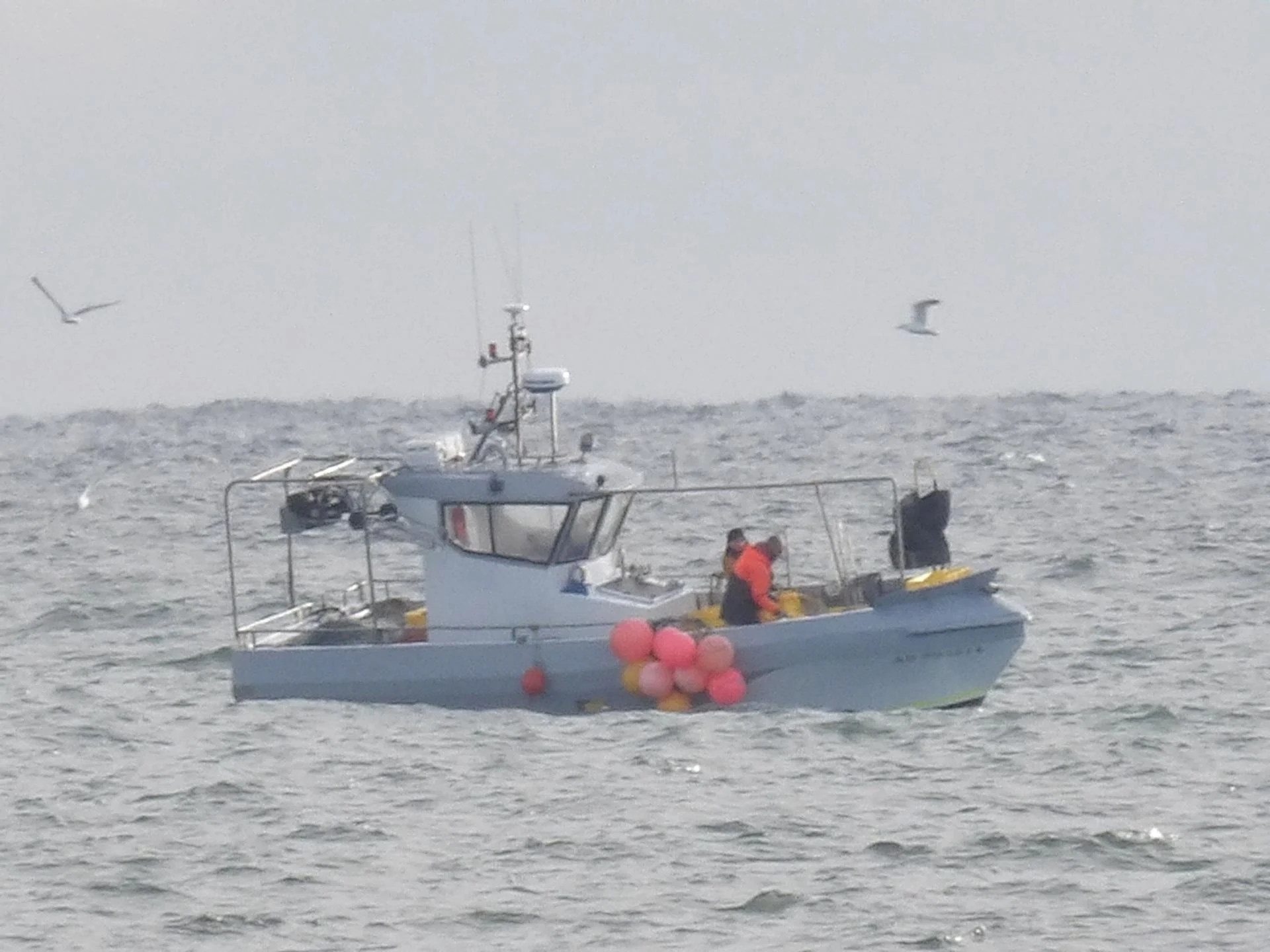 251223 njord au large f