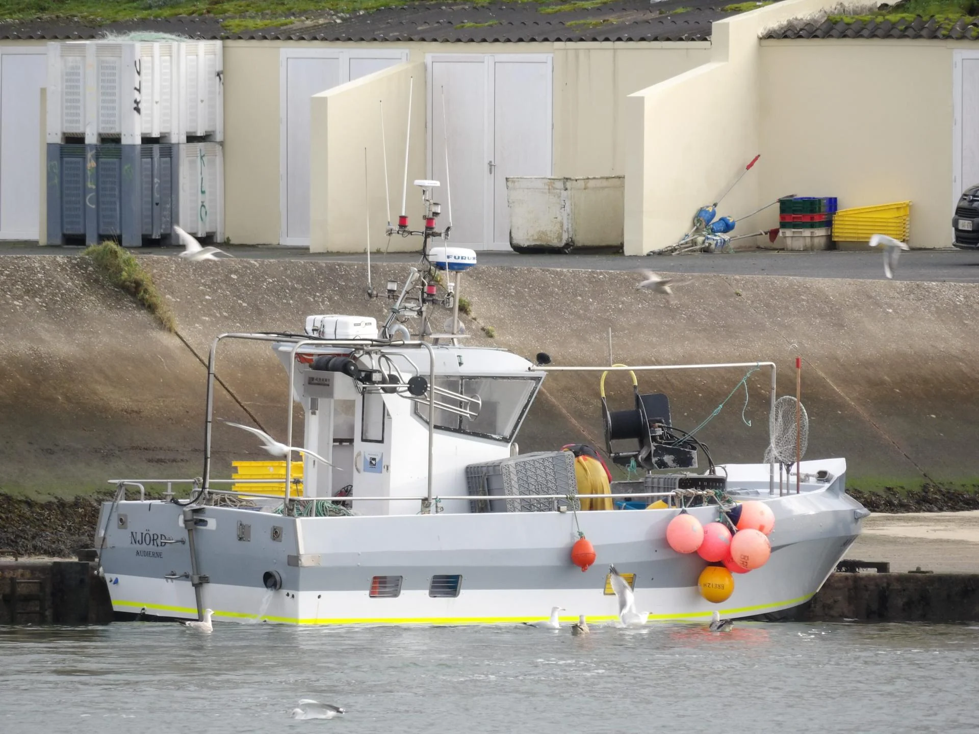 251223 njord criee dchrgt